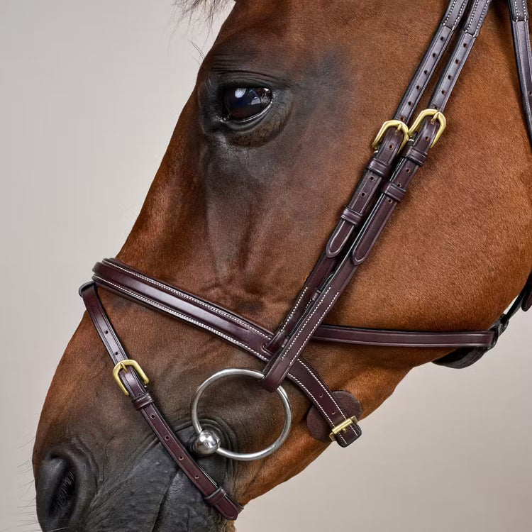   Ideal for horses with C1-related discomfort or poll sensitivity