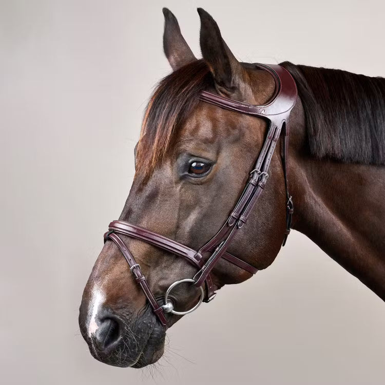 Throatlatch connected to the noseband for stability and proper positioning