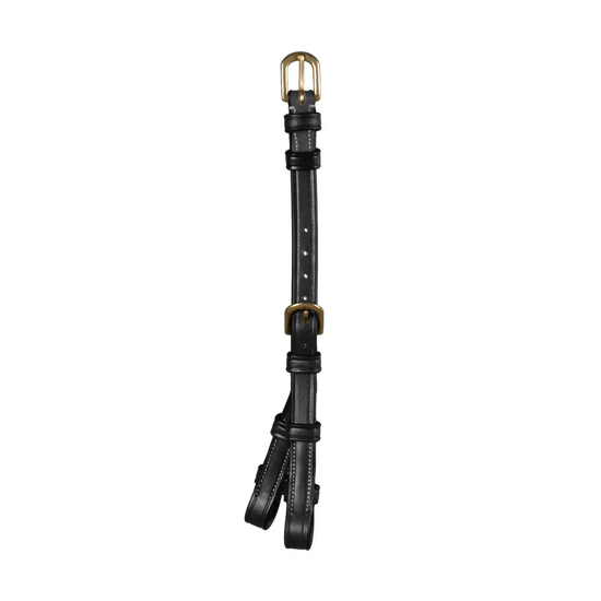 Double bridle cheek piece converter