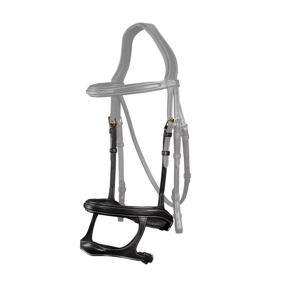 2- in-1 snaffle and dropped noseband