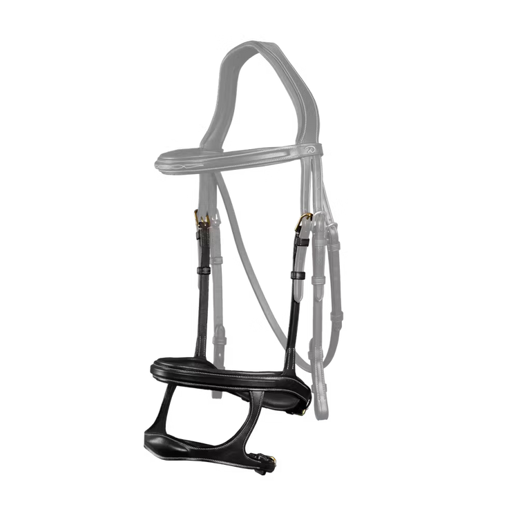 2- in-1 snaffle and dropped noseband