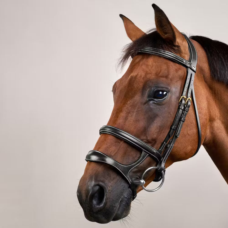 Soft padding on the noseband, browband, and crownpiece