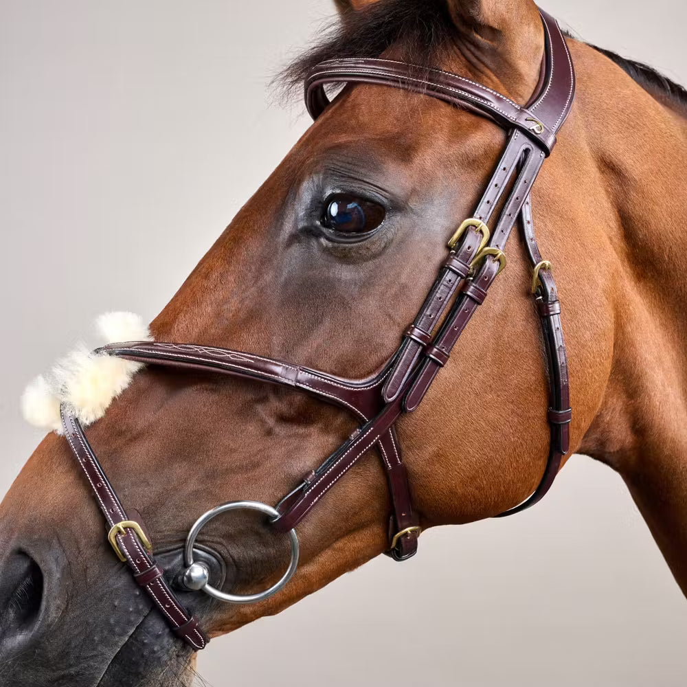 Soft padding on noseband, browband, and crownpiece