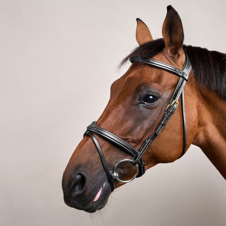    Removable nosestrap attachment