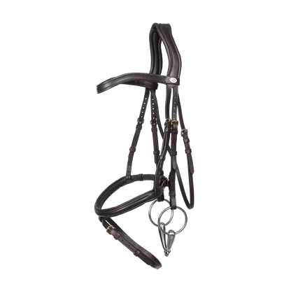 Horse wearing soft leather flash noseband bridle