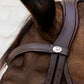 Leather bridle with flash noseband for dressage