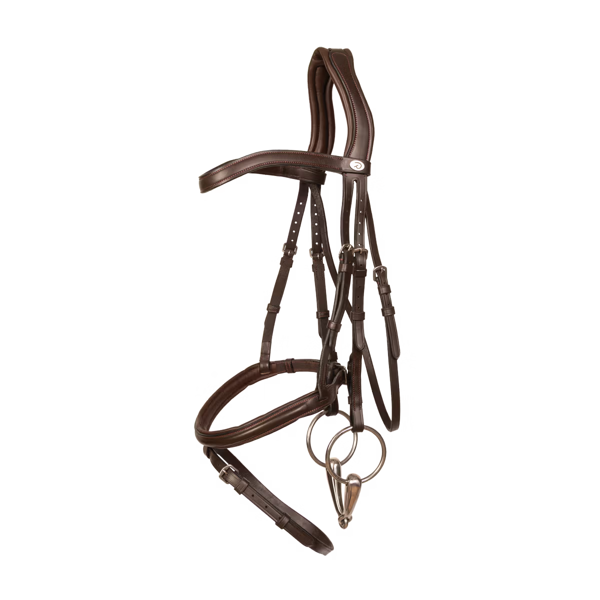 Anatomical horse bridle for comfort and performance
