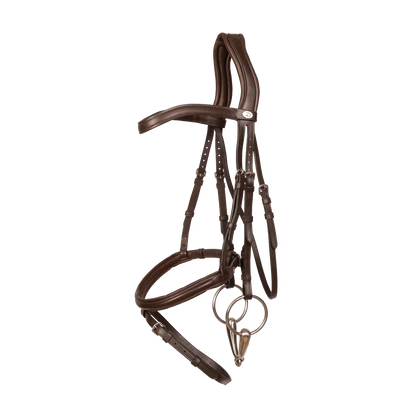 Anatomical horse bridle for comfort and performance