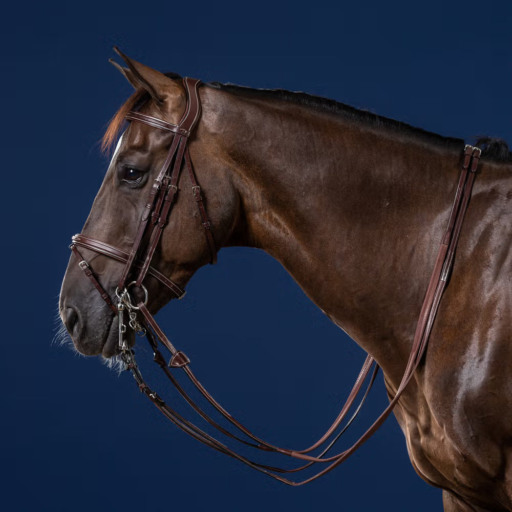 Flash Noseband Double Bridle for jumping Slightly square-raised noseband and browband with decorative topstitching 3/8” (10 mm) removable flash strap