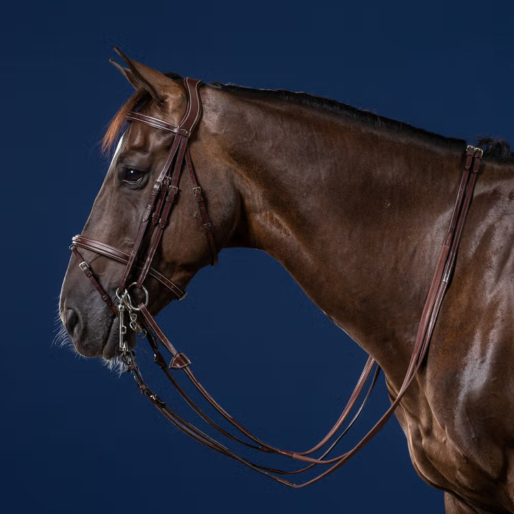 Flash Noseband Double Bridle for jumping Slightly square-raised noseband and browband with decorative topstitching 3/8” (10 mm) removable flash strap