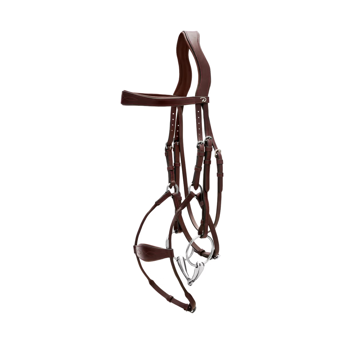 Close-up of hybrid noseband detail