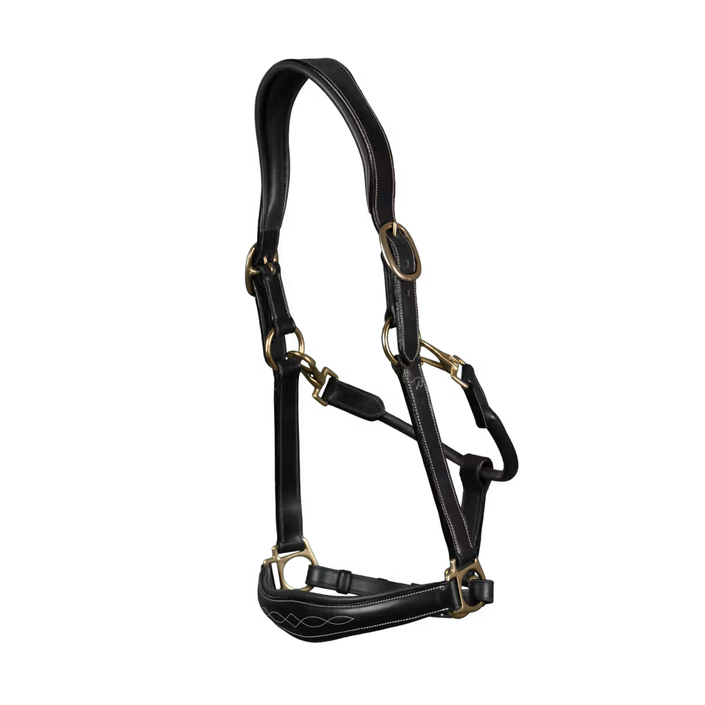-in-1 travel and grooming Leather Head Collar