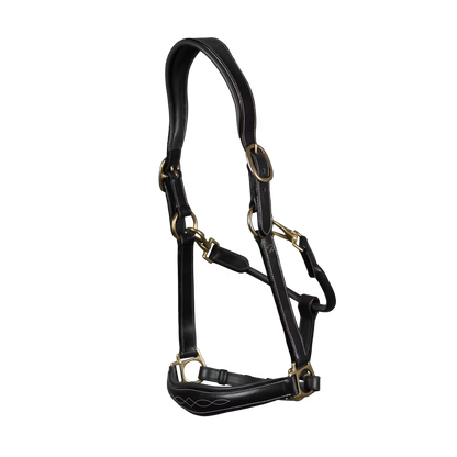 -in-1 travel and grooming Leather Head Collar