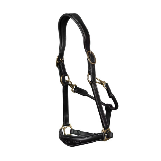 -in-1 travel and grooming Leather Head Collar