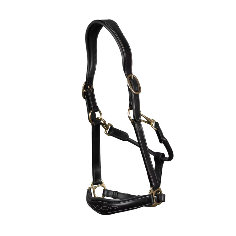 -in-1 travel and grooming Leather Head Collar