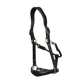 -in-1 travel and grooming Leather Head Collar