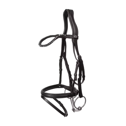 Horse wearing anatomical leather bridle with flash noseband