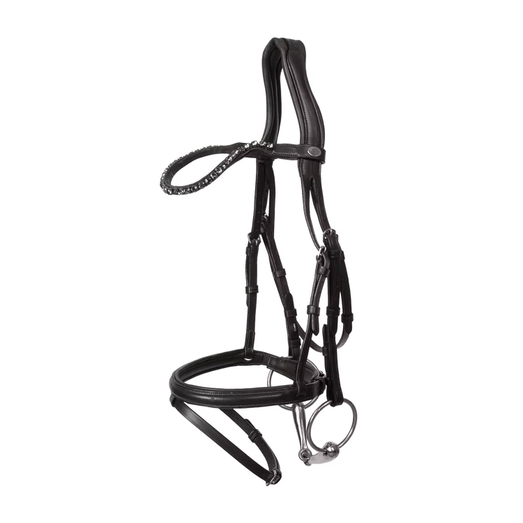 Horse wearing anatomical leather bridle with flash noseband