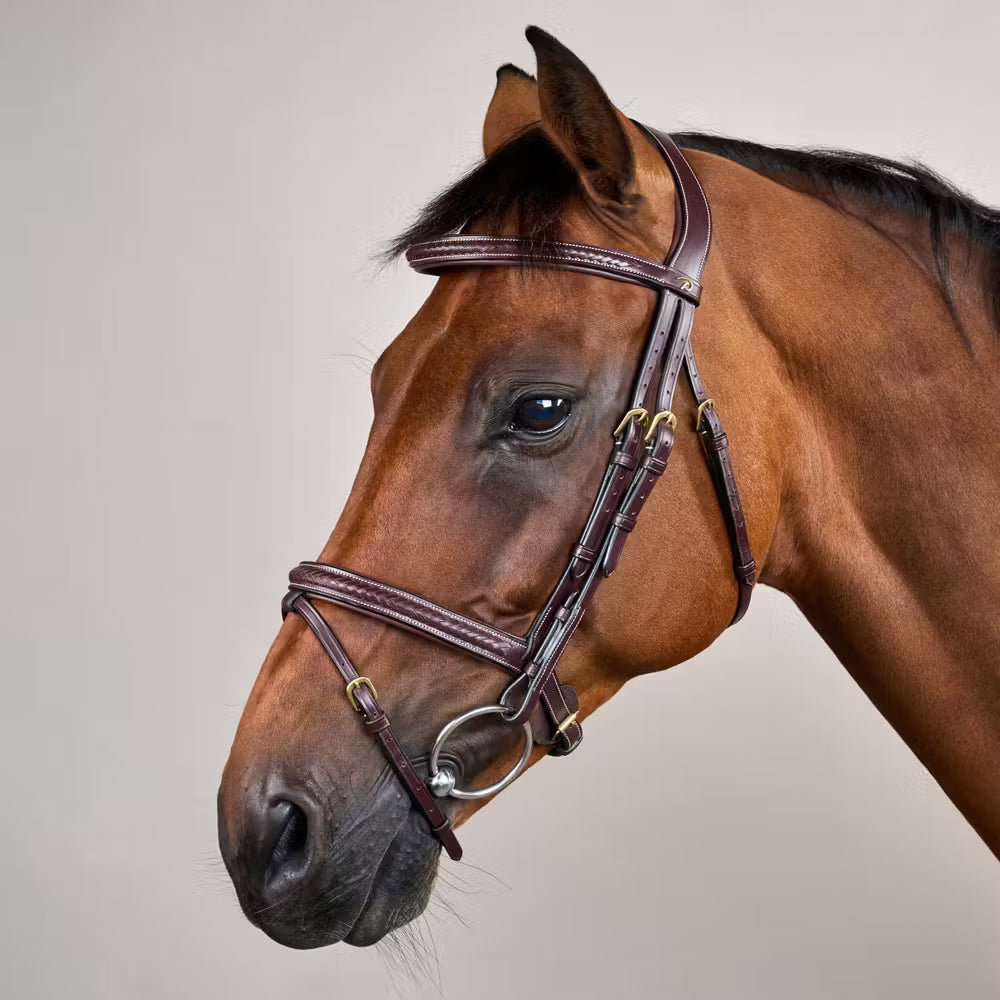  Elegant Medium Noseband with removable ½’’ flash