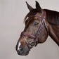  Elegant Medium Noseband with removable ½’’ flash