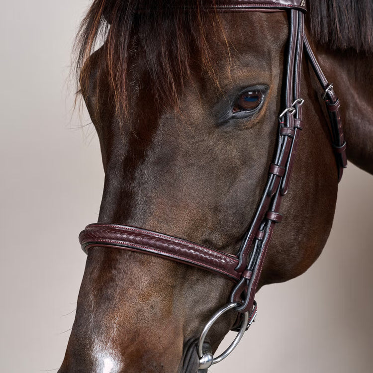 Anatomical horse bridle with plaited design