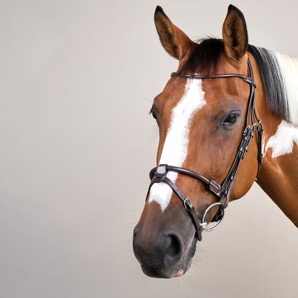 Anatomic headpiece to provide ultimate comfort