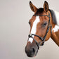 Dy&