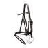 Horse wearing Dy&