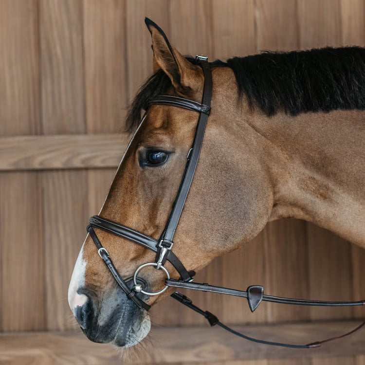  Noseband and browband have fancy stitching