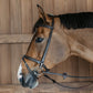  Noseband and browband have fancy stitching