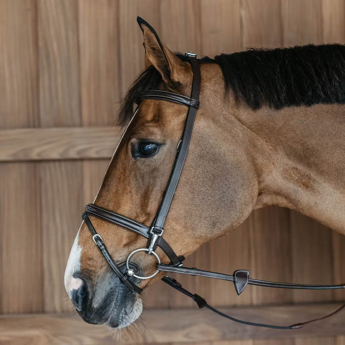 Dyon Training Bridle Brown