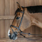 Dyon Training Bridle Brown