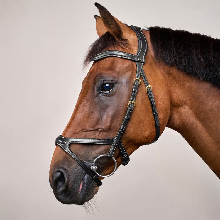 brass buckles for a classic and robust finish

