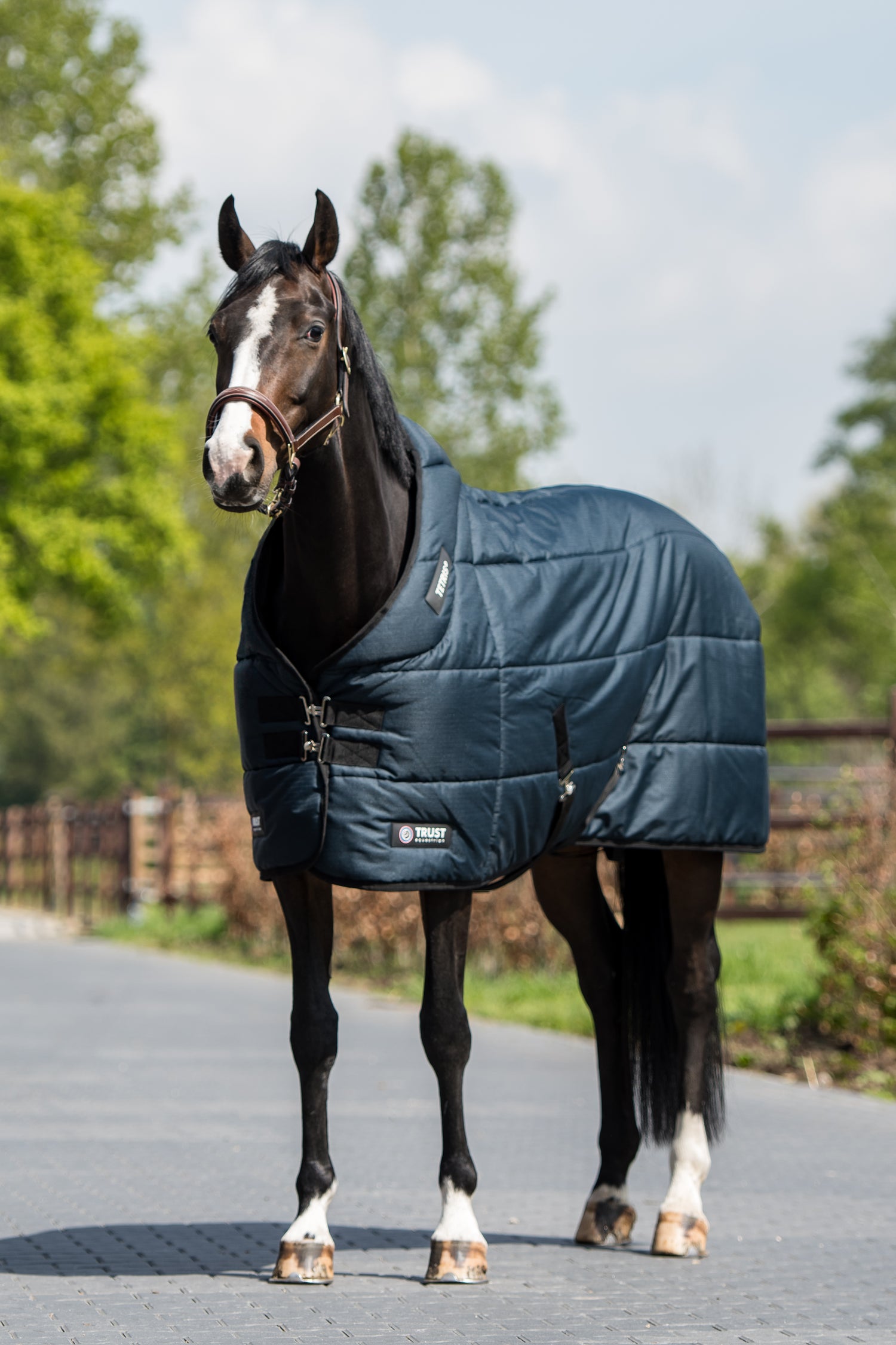 Trust stable blanket