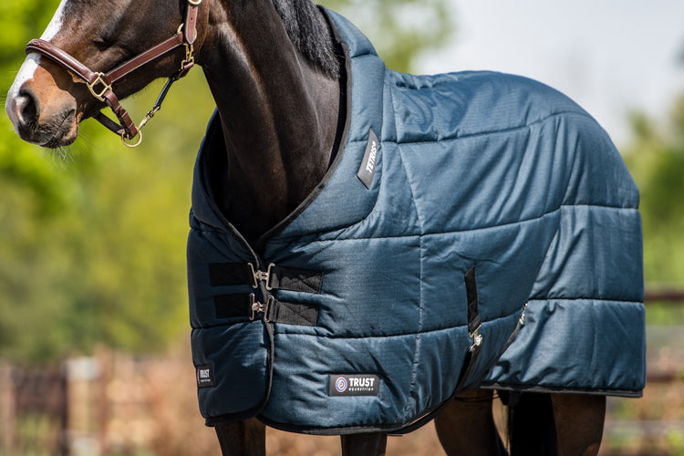 Best stable rug with wither clearance 