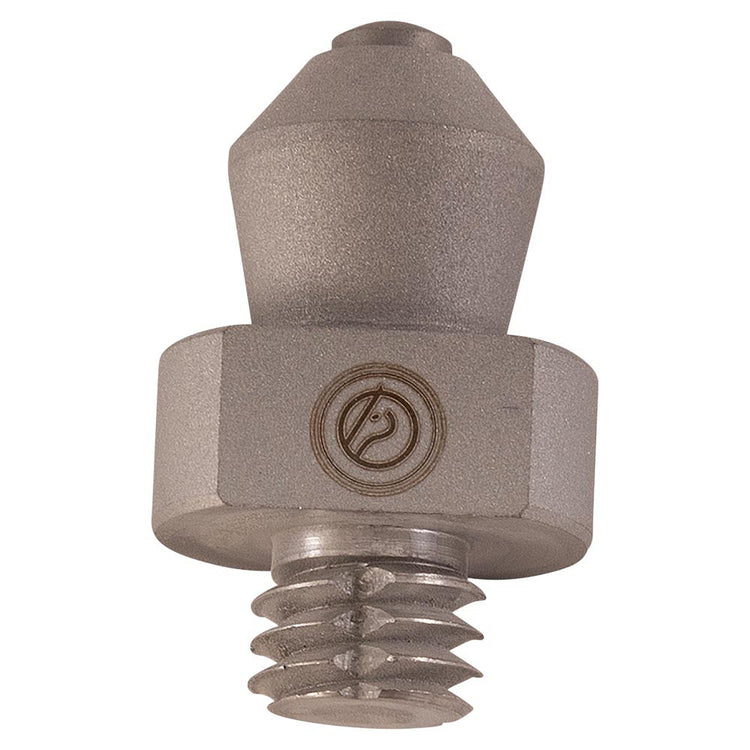 Competition horse stud supporting stability and confidence