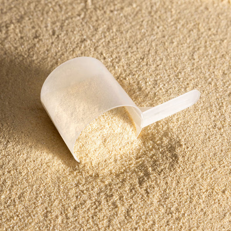 Electrolyte powder for horses