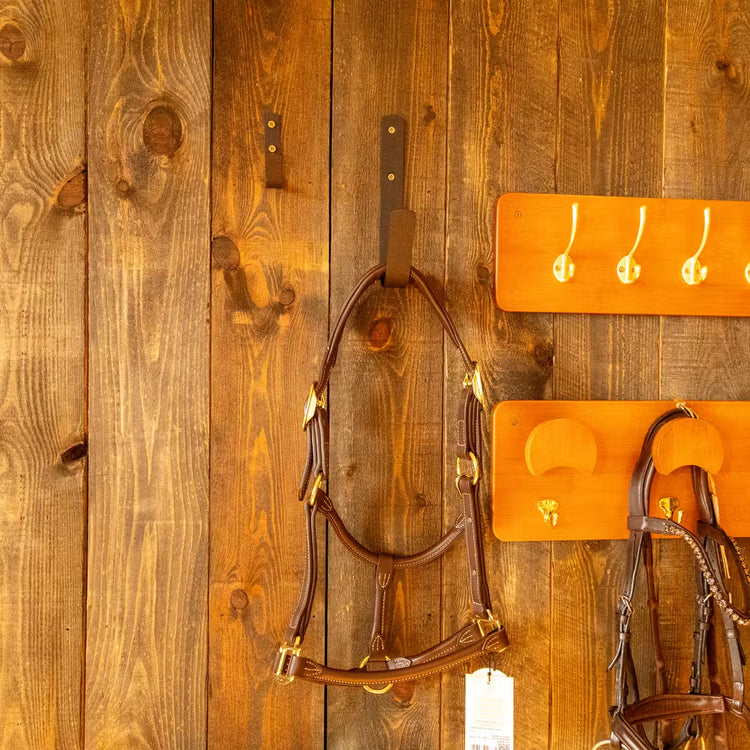 Grooming Deluxe
Big Hook Matt