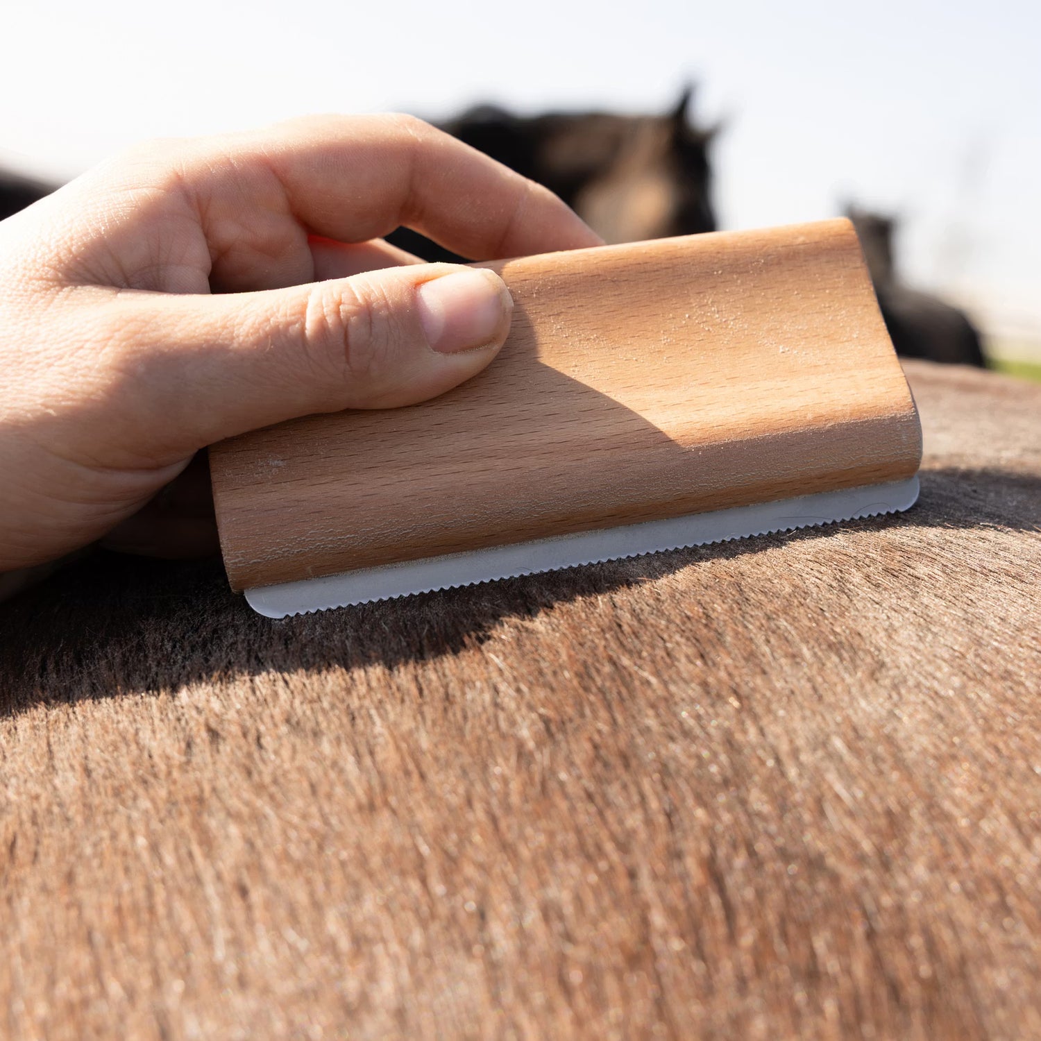 Kentucky Horsewear Shedding brush