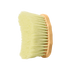 Hand holding Kentucky grooming brush