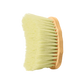 Hand holding Kentucky grooming brush