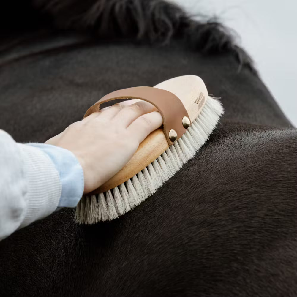 Enhances the natural shine