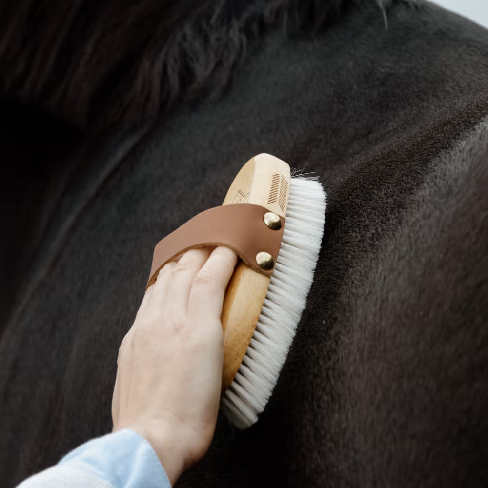 Grooming Deluxe
Small Overall Brush Soft
