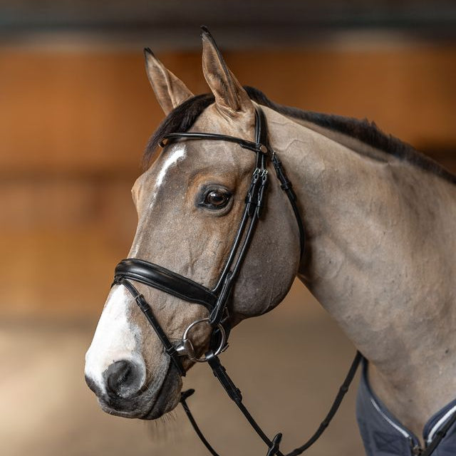 Affordable round leather dressage bridle 