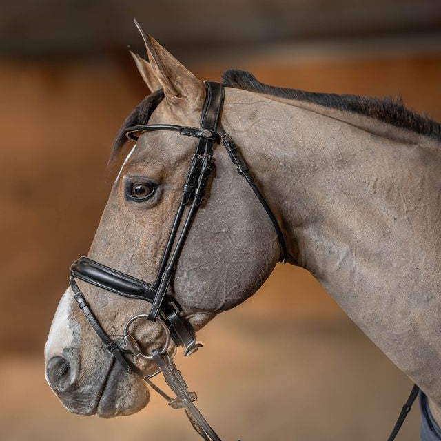 HFI Round Leather Bridle 