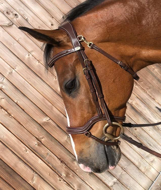 Anatomic Noseband bridle for show jumping