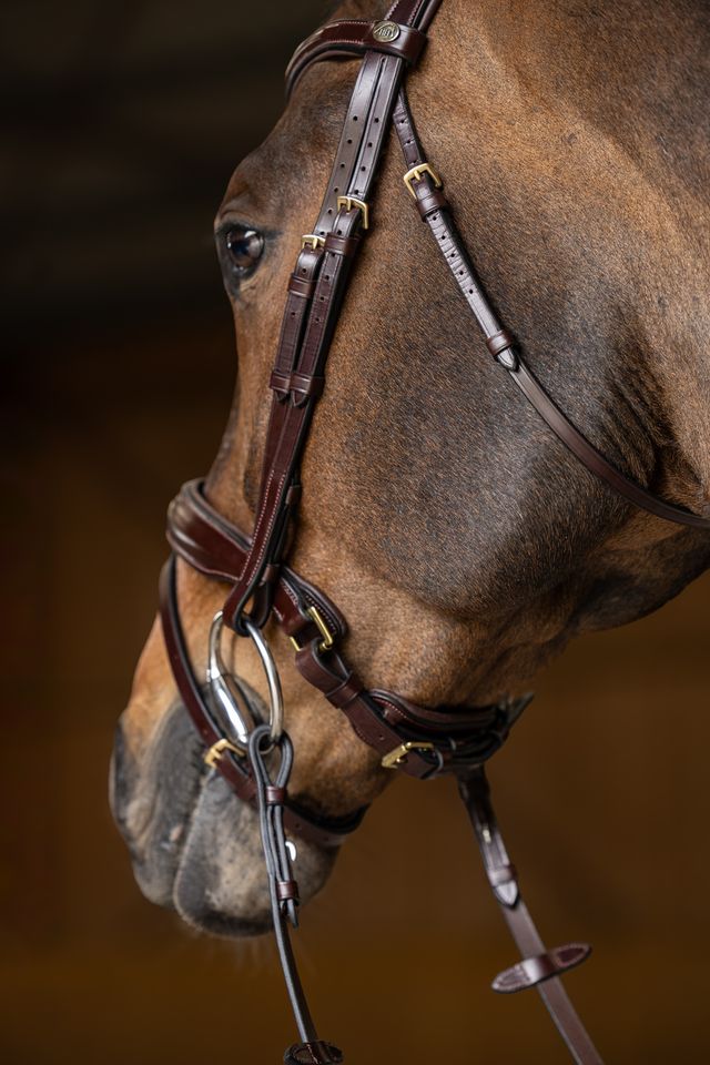 Brown dressage bridle with brass fittings