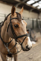 HFI Anatomical Bridle with removable flash noseband