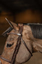 Horse wearing the HFI Anatomical Bridle Milano in brown