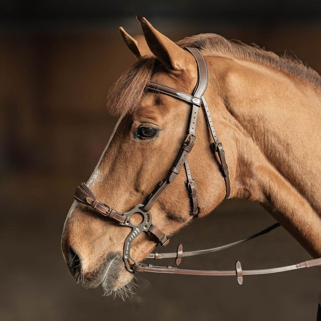 HFI Anatomical Hackamore Bridle Brown